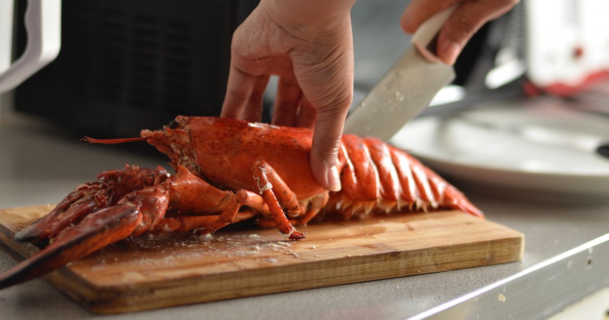 Cena Humra (může pohybovat, závislosti druhu, závislosti velikosti) Cena Humra