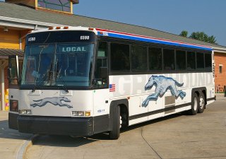 Autobus amerického dopravce Greyhound