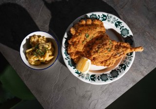 Řízek podle Jana Punčocháře