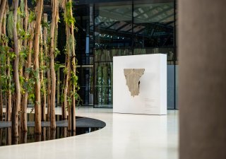 Expozice s názvem Step from Darkness