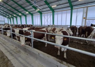 Jedním z dosud posledních projektů společnosti Brunnthaller byl kravín pro Agrodružstvo Lhota pod Libčany - Osičky dokončená v prosinci 2021.