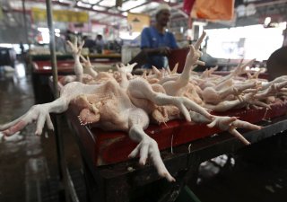 Trh s kuřaty v Malajsii