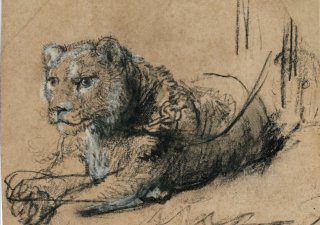 Kresba Rembrandta van Rijna jde do aukce