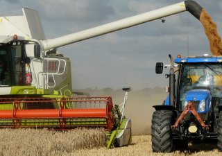 Česko zůstává poslední zemí Visegrádské čtyřky, která dosud nezakázala dovoz ukrajinského obilí.