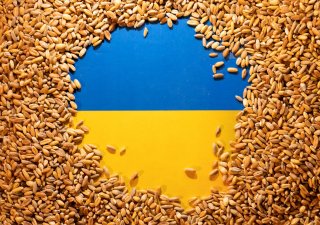 Lukáš Kovanda: Pšenice zdražuje kvůli ruským útokům na ukrajinské sklady. Zakázat, či ne dovoz obilí z Ukrajiny?