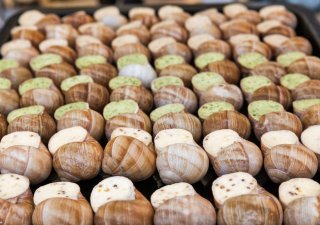 Vánoční šneci: zapomenutá česká tradice, která se vrací na talíře