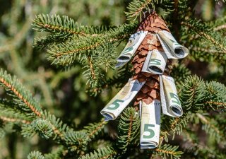 Peníze rostou na stromě