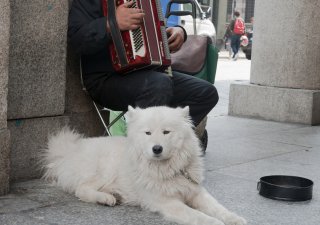 Praha chystá nejsmysluplnější zákaz za poslední roky