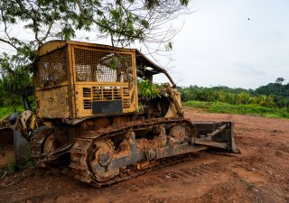 Brazílie vykácela pás v Amazonii, aby postavila cestu pro klimatickou konferenci