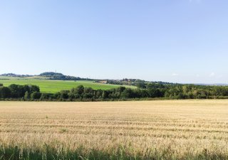 Česko vysychá před očima. Měníme ho v poušť a step, varuje biolog