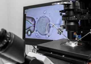 Vědci hledají šetrnější cestu k početí. Spermie zkoušejí navádět magnetem