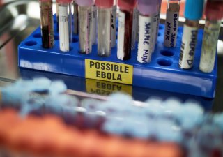 Hantavirus a virus ebola, které se vynořily v posledních týdnech, neohrožují (aspoň zatím) mnoho obyvatel bohatého světa.