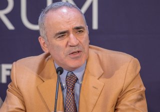 Bývalý šachový velmistr, politik a kritik Vladimira Putina Garri Kasparov