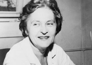 Mária Telkesová (1900-1995), zakladatelka solární energetiky přezdívaná „Sluneční královna“