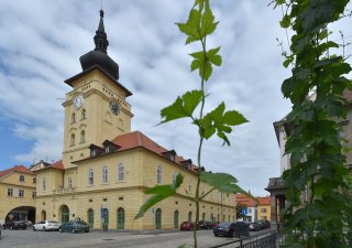 Žatec a krajina žateckého chmele se 18. září 2023 staly součástí světového dědictví UNESCO. O zápisu rozhodl mezivládní Výbor pro světové dědictví na svém 45. rozšířeném zasedání v Rijádu.