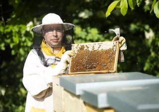 Podle včelařů byla letos medová sezona mírně podprůměrná
