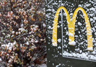 Restaurace rychlého občerstvení na Ukrajině