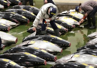 Potenciální zákazníci si prohlíží tuňáky na první letošní aukci na trhu Toyosu v Tokiu.