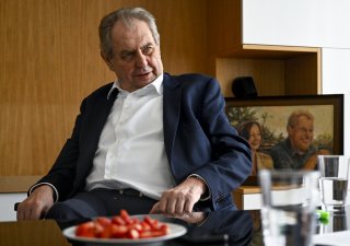 Bývalý český prezident Miloš Zeman