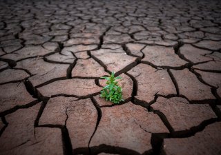 Stanislav Šulc: Na Blanensku dochází voda. Ale klid, s klimatickou změnou to nesouvisí. Tedy asi