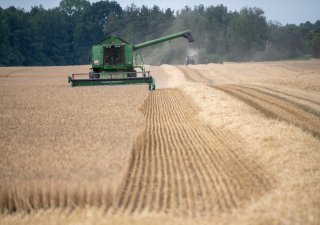 Kyjev podal kvůli obilí stížnost u WTO na Slovensko, Polsko a Maďarsko