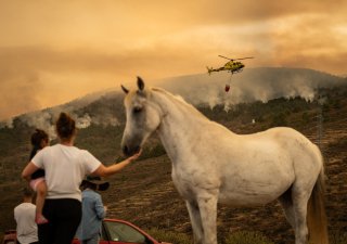 Na Tenerife shořelo šest procent území, plameny postupují pomaleji