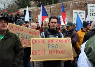 Čeští zemědělci se připojí k evropským protestům 20. března