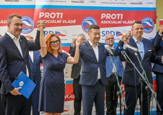 Námitky strany Volt o „skryté koalici“ SPD už zamítly tři soudy