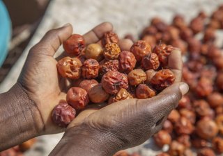 El Niño rozpoutá hlad i zdražování. Klimatologové: Připravujeme se na nejhorší