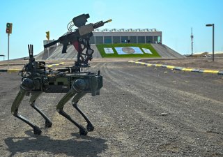 Tchaj-wan chce posílit obranu proti Číně. Na pobřeží mohou hlídat robotičtí psi