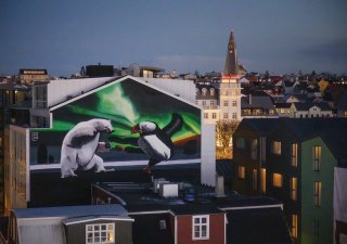 Island zvažuje vyhlášení referenda o obnovení jednání o vstupu do Evropské unie už letos v srpnu