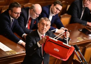 Šéf ANO Andrej Babiš