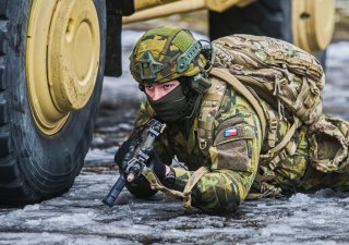 Žádné navyšování. Dvě procenta HDP na obranu jsou dostačující, hlásí Okamura