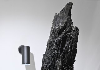 Les civilizací může mít cenu 1,1 miliardy