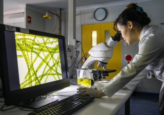 PPF Biotech vloží aktiva dceřiné SCTbio do firmy eureKING