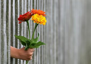 Do Česka se dovezly květiny z Nizozemska, Ekvádoru či Kolumbie za dvě miliardy. Tržby květinářů ale klesají