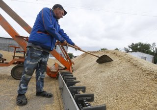 Evropská komise navrhla zvýšení cel na ruské a běloruské obilí
