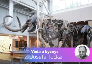 kostra mamuta, Věda a byznys Josefa Tučka