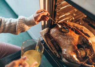 Svatomartinská husa