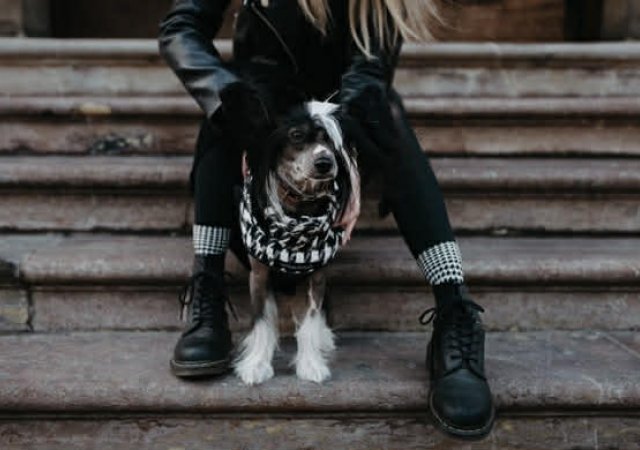 Psí oblečky Dogo Fogo