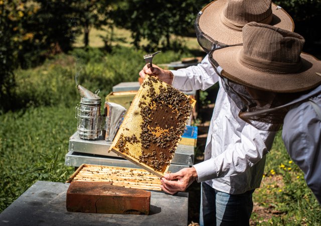 Dva ze tří Čechů si připlatí za kvalitní potravinu. Chtějí jídlo ze zdejších polí a příběh