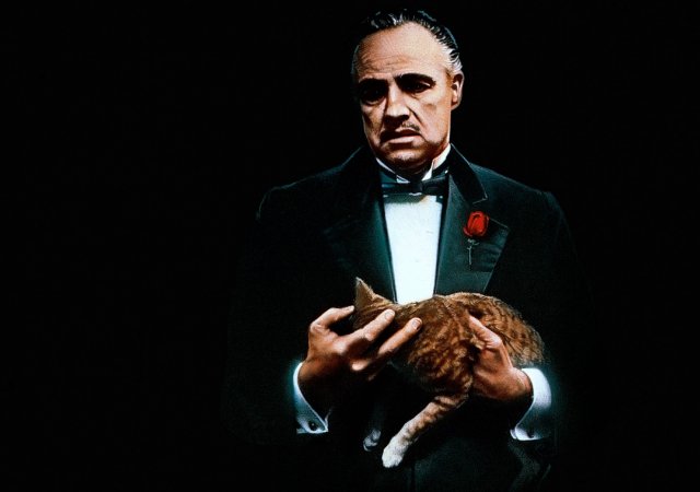 Film Kmotr se stal předobrazem některých českých politických hráčů