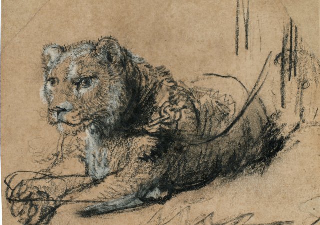 Kresba Rembrandta van Rijna jde do aukce