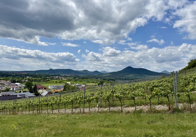 Strmé svahy pod kopcem Radobyl a panorama Českého středohoří