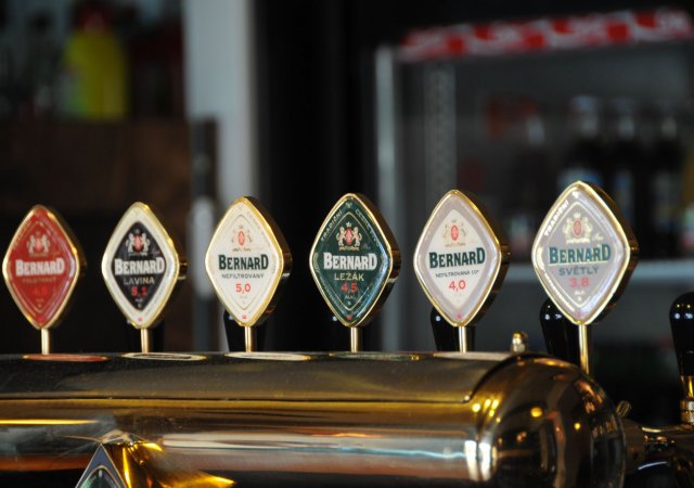 Bernard, pivo
