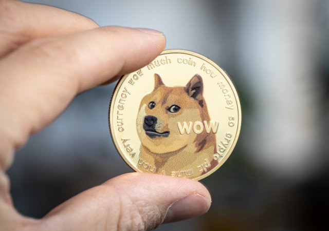Fenka Kabosu, která se stala tváří kryptoměny dogecoin, uhynula