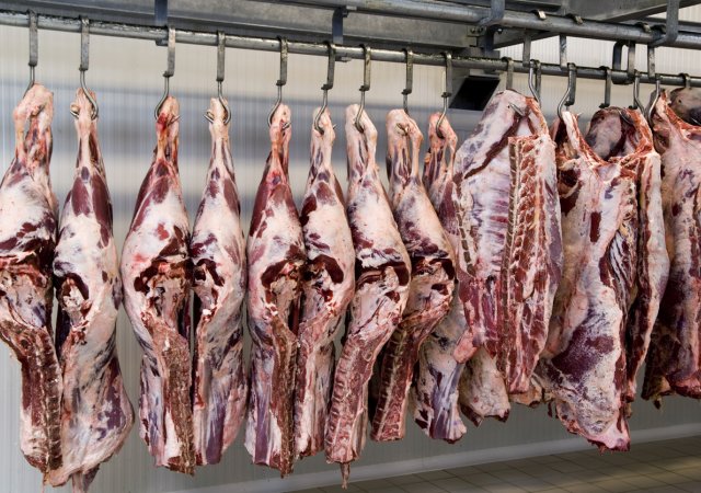 Produkci masného průmyslu v Británii ohrožuje nedostatek CO2