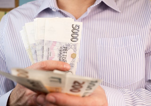 Česká koruna je měnovým vítězem letošního roku