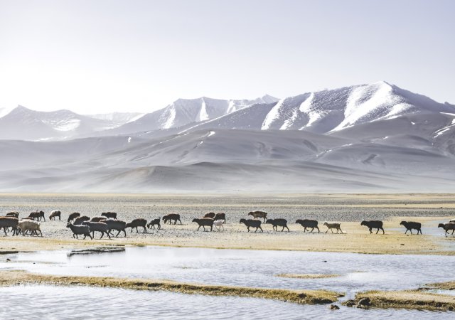 Odvrátí Japonci tání ledovců? Pomoci by jim mohla záhadná anomálie z Tádžikistánu