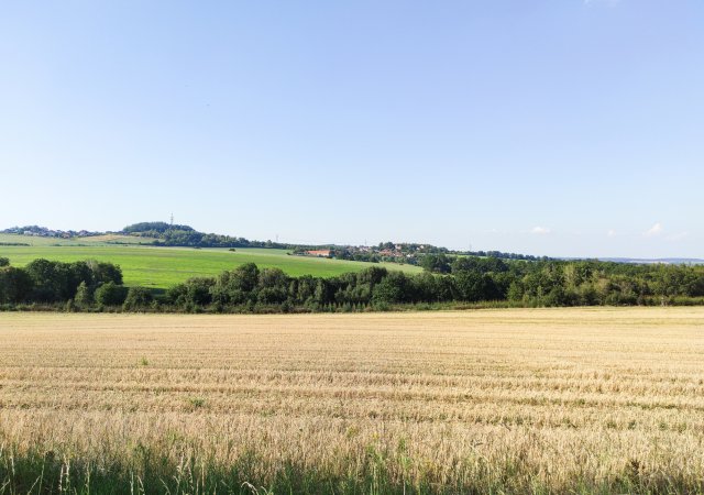 Česko vysychá před očima. Měníme ho v poušť a step, varuje biolog